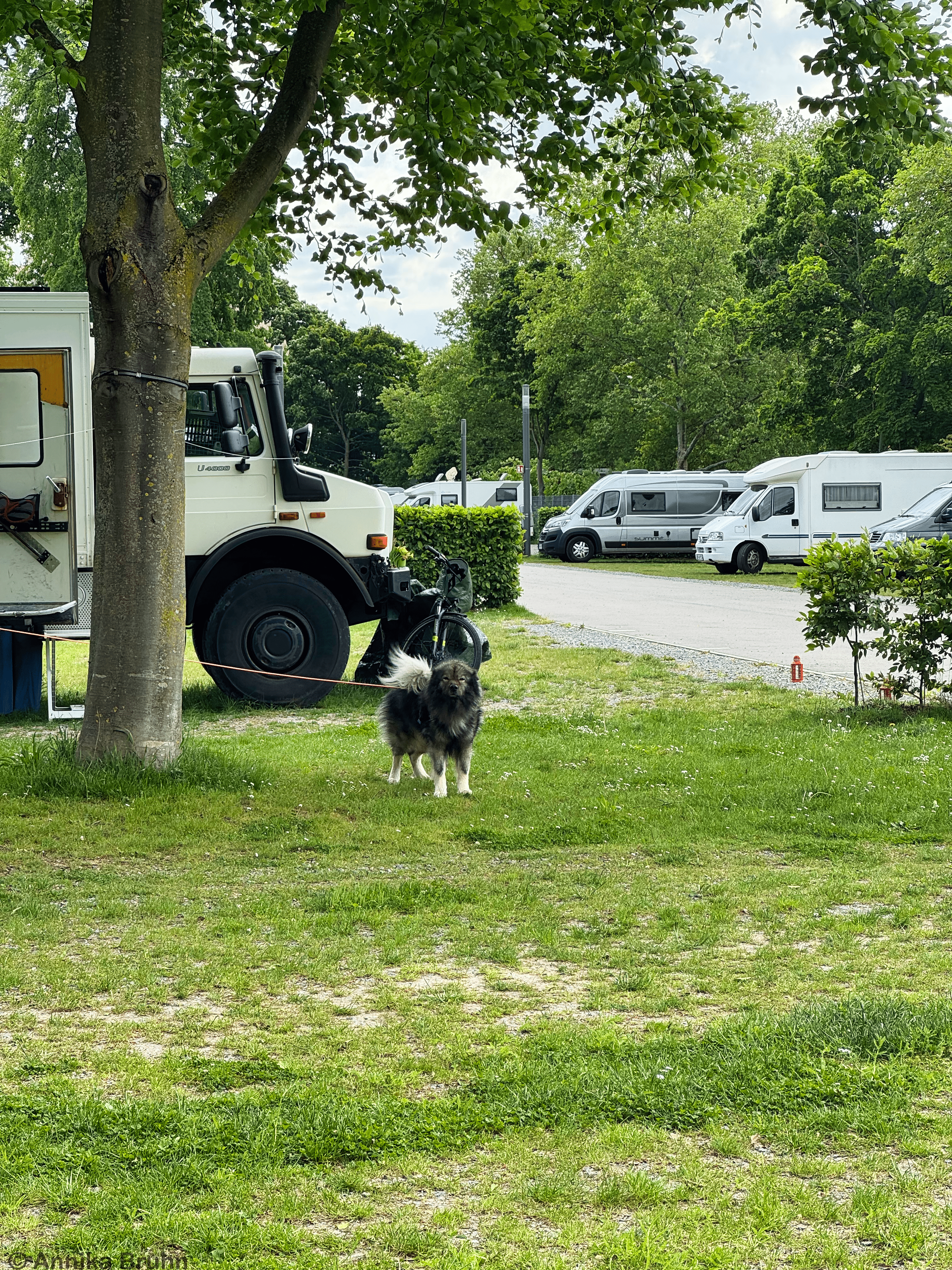 Mama da bist du ja endlich